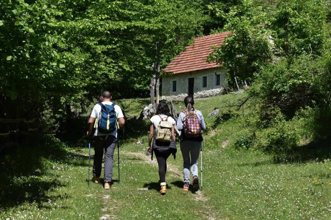 Apartman Sara Plužine Εξωτερικό φωτογραφία