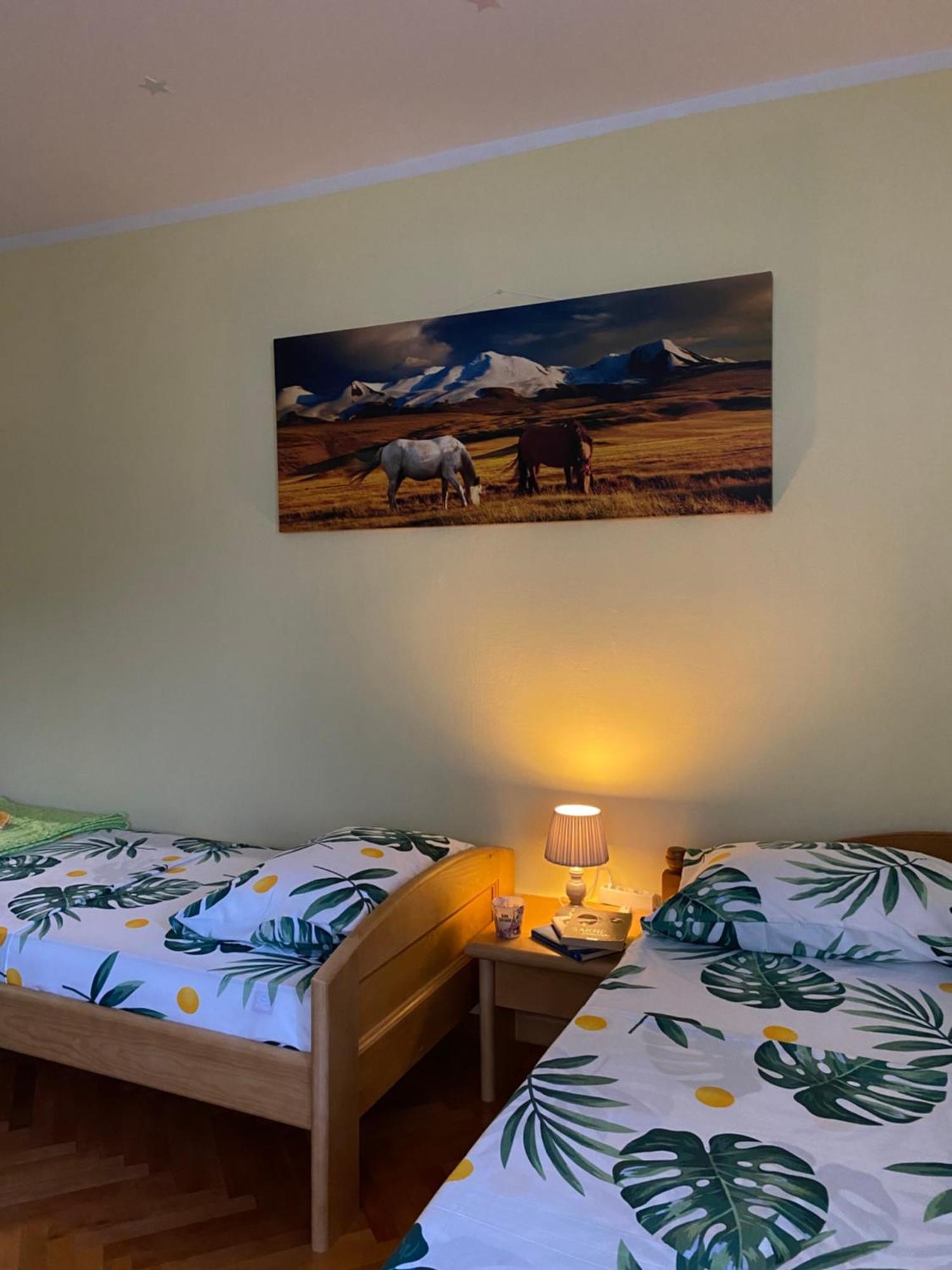 Apartman Sara Plužine Εξωτερικό φωτογραφία